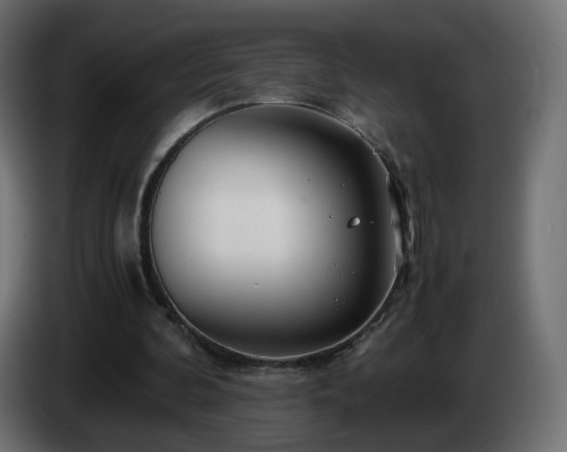 X0000084550292200703021512
