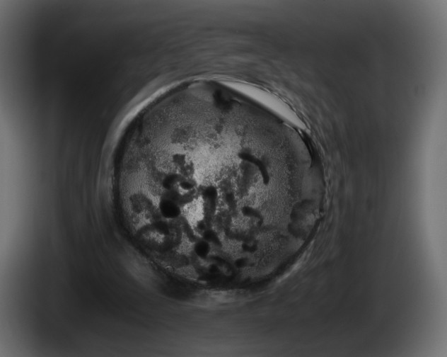 X0000084550295200703021512