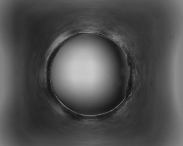 X0000084550296200703021512