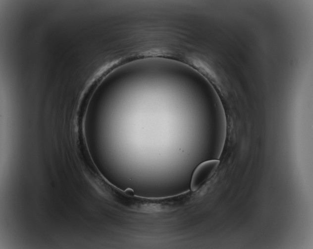 X0000084550298200703021512