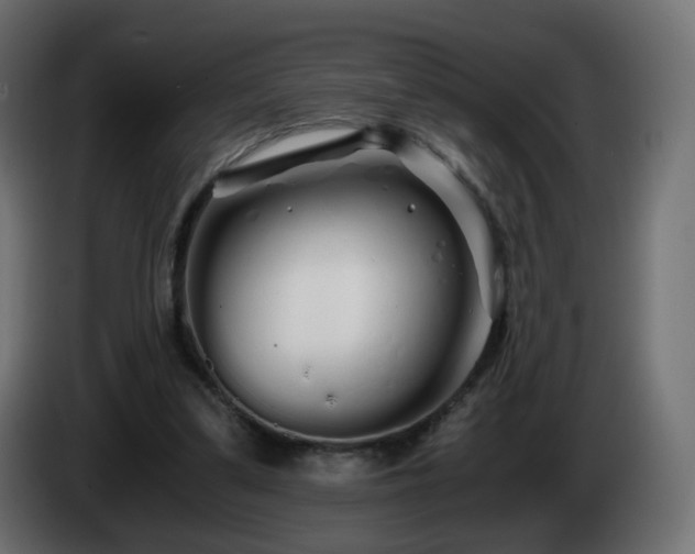 X0000084550299200703021512