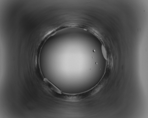 X0000084550301200703021512