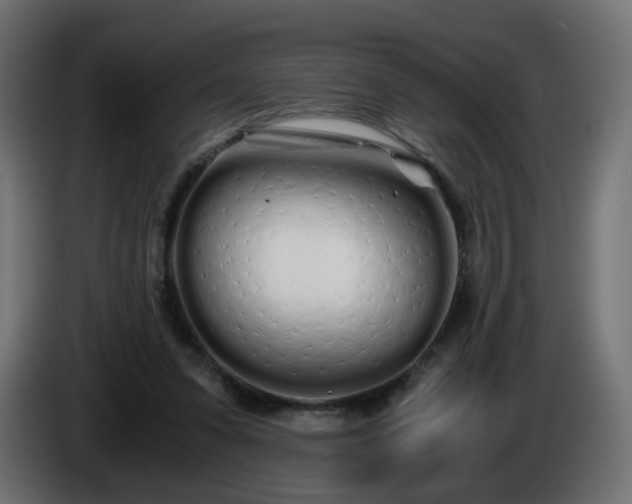 X0000084550303200703021512