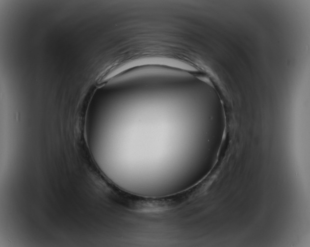 X0000084550305200703021512