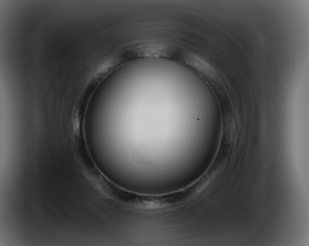 X0000084550310200703021512
