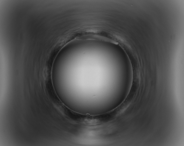 X0000084550311200703021512
