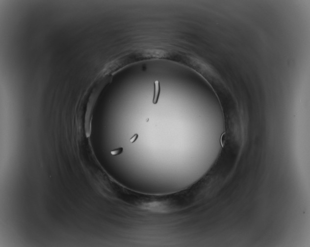 X0000084550312200703021512