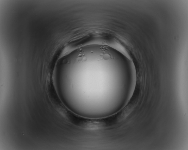 X0000084550315200703021512