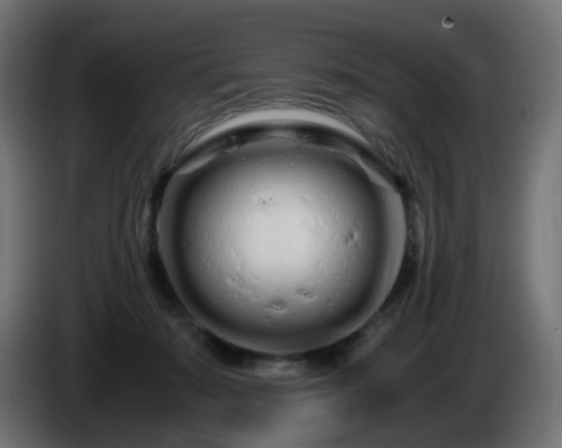 X0000084550319200703021511