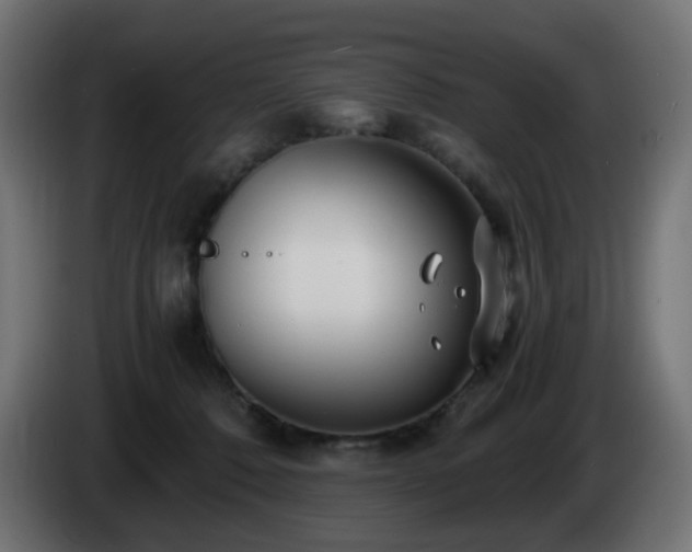X0000084550320200703021511