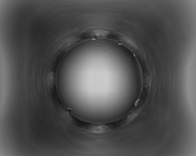 X0000084550321200703021511