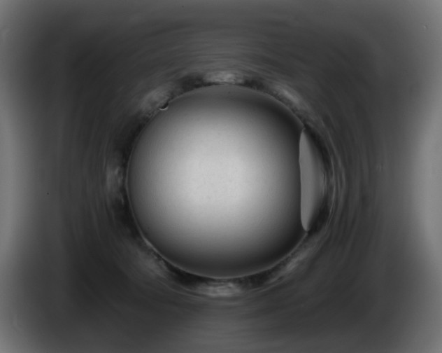 X0000084550322200703021511