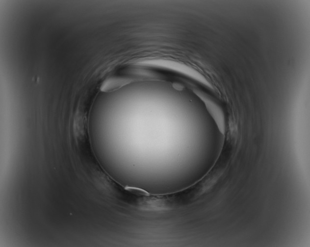 X0000084550325200703021511