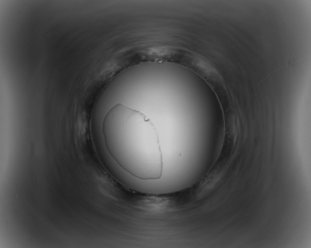 X0000084550328200703021511