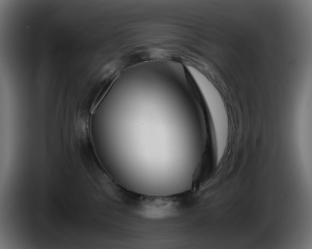 X0000084550329200703021511