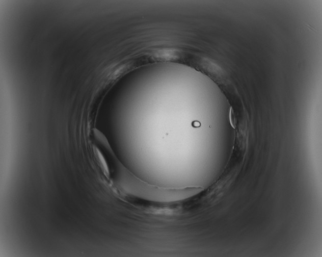X0000084550330200703021511