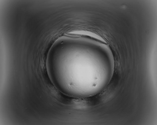X0000084550331200703021511