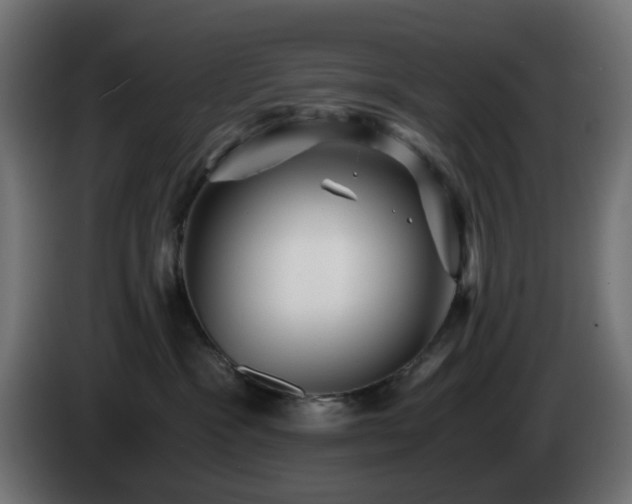 X0000084550333200703021511