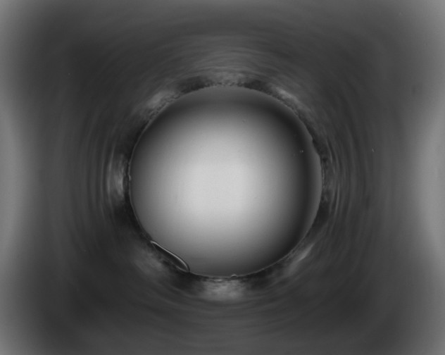 X0000084550334200703021511