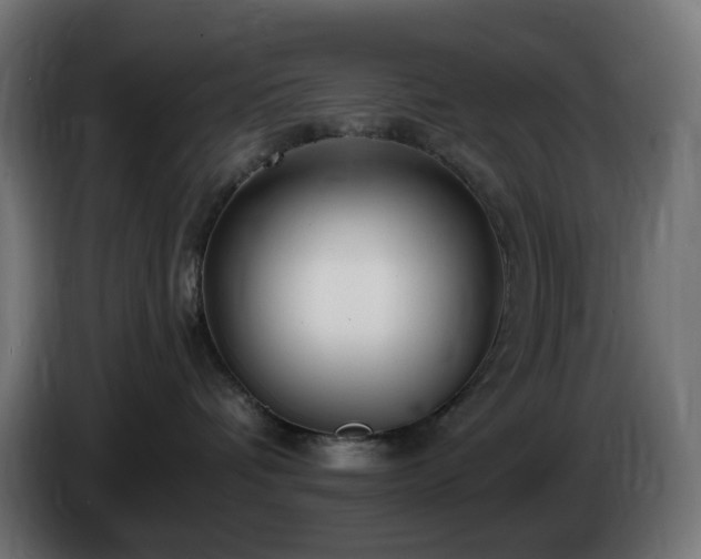 X0000084550336200703021511