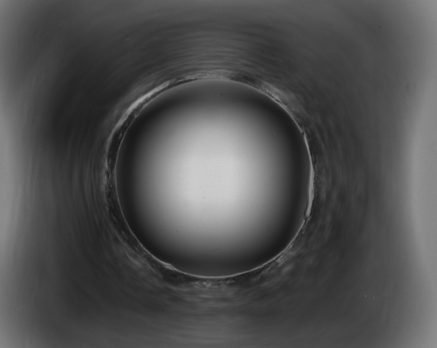 X0000084550338200703021511