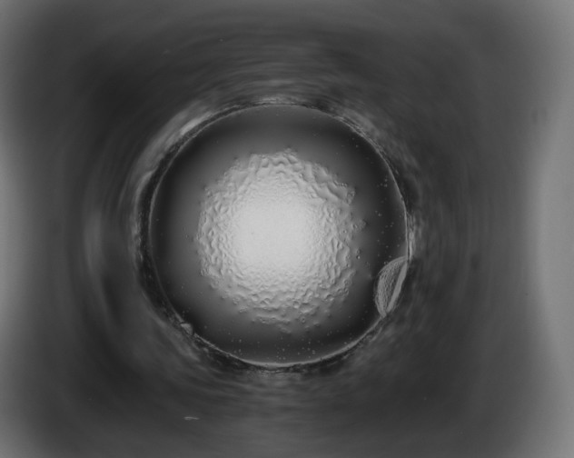 X0000084550339200703021511