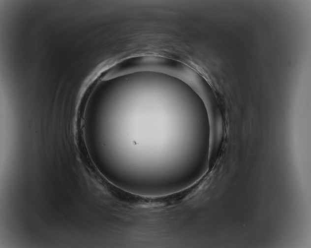 X0000084550340200703021511