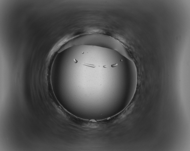 X0000084550341200703021511