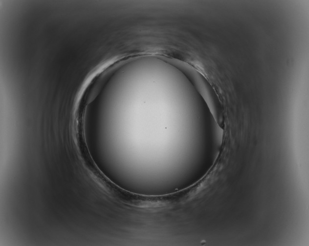 X0000084550342200703021511
