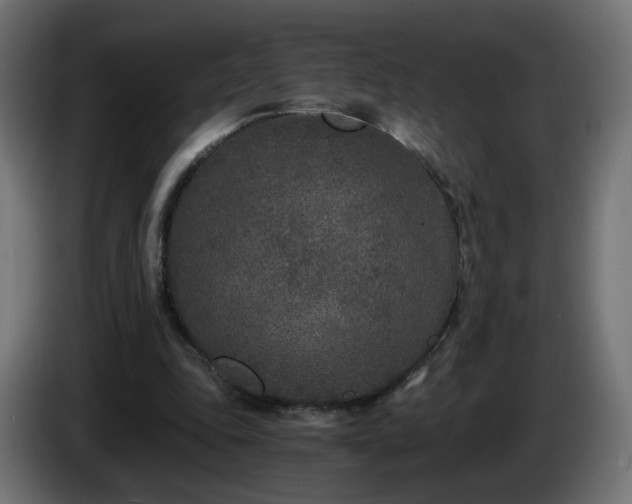 X0000084550343200703021511