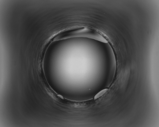 X0000084550345200703021511