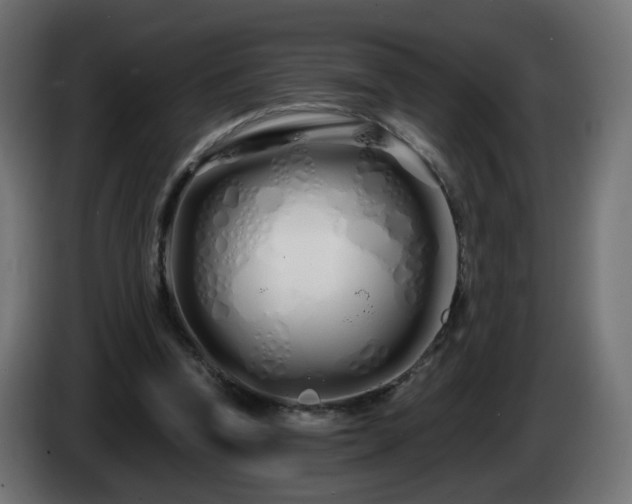 X0000084550346200703021511