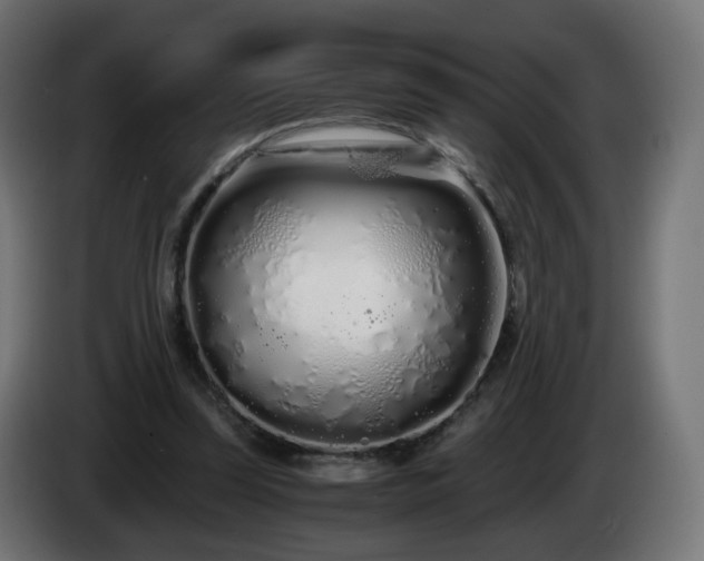 X0000084550347200703021511