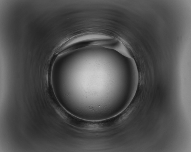 X0000084550349200703021511