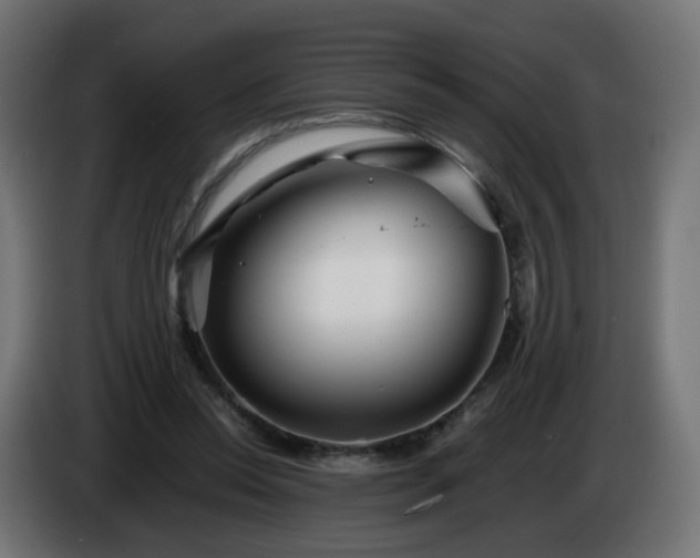 X0000084550350200703021511