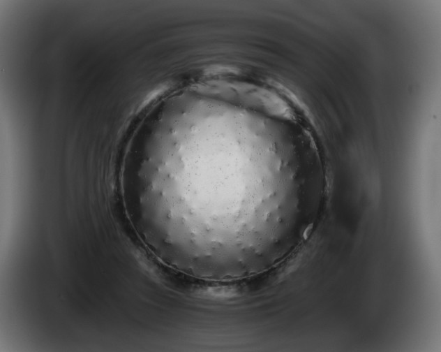 X0000084550353200703021511