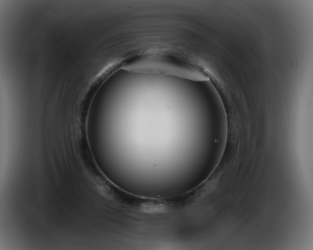 X0000084550354200703021511