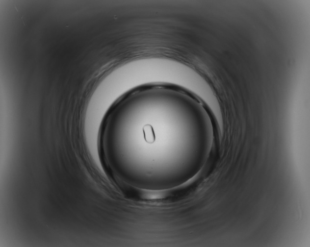 X0000084550356200703021511