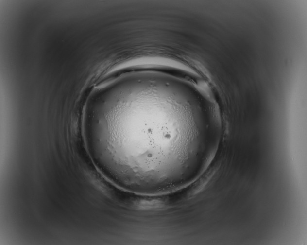 X0000084550357200703021511