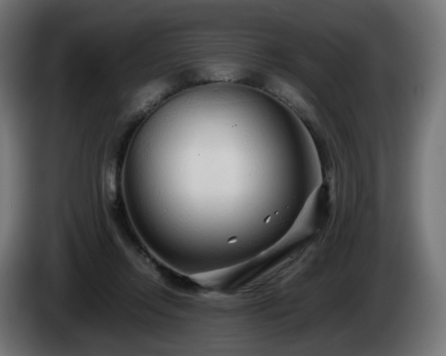 X0000084550358200703021511