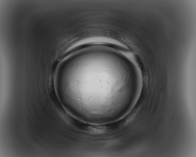 X0000084550359200703021511