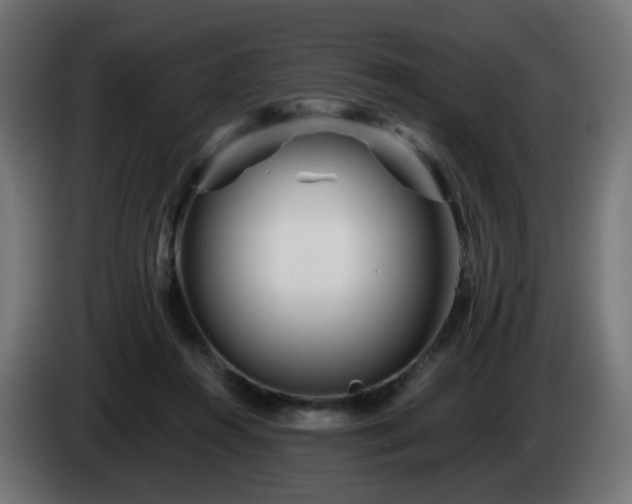 X0000084550360200703021511