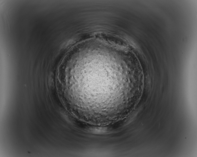 X0000084550361200703021511