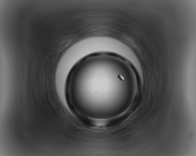 X0000084550362200703021511
