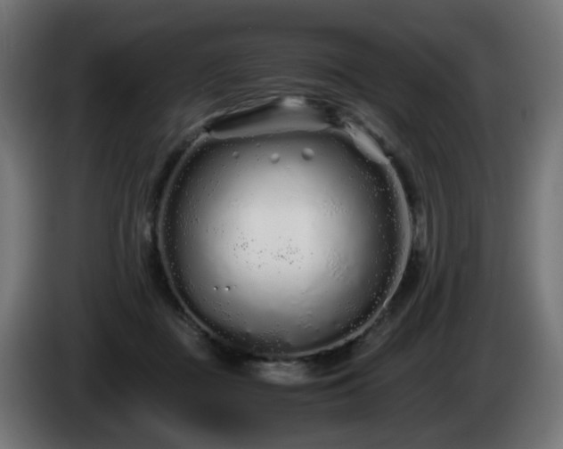 X0000084550363200703021511