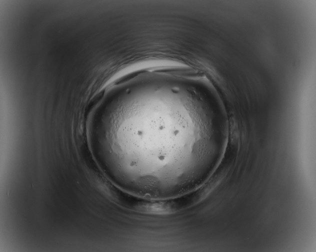 X0000084550365200703021511