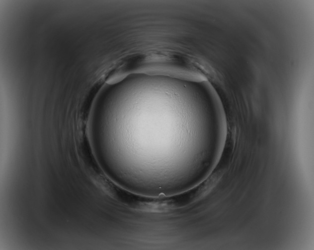 X0000084550366200703021511