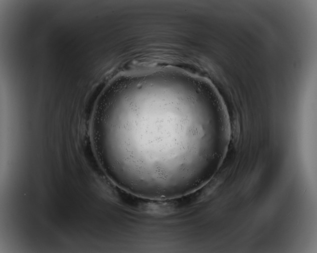 X0000084550367200703021511