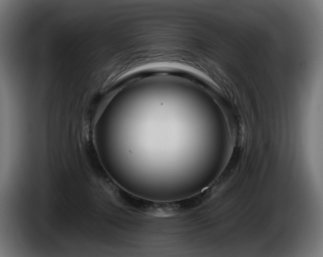 X0000084550368200703021511