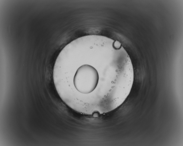 X0000084550370200703021511